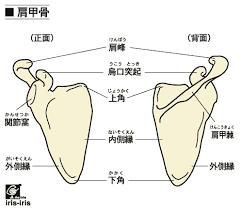 images-6